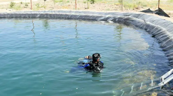 جان باختن مرد ۶۵ ساله رخی در استخر کشاورزی