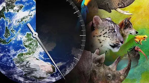 حیوانات منقرض شده در ایران را بشناسید + عکس و جزئیات