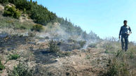 مهار آتش در منطقه حفاظت شده البرز مرکزی