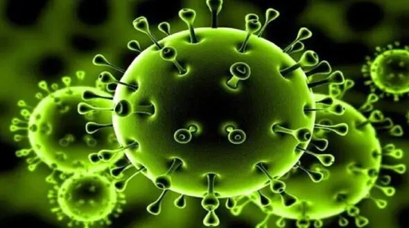 جدیدترین راه انتقال کرونا چیست؟! + یافته های جدید