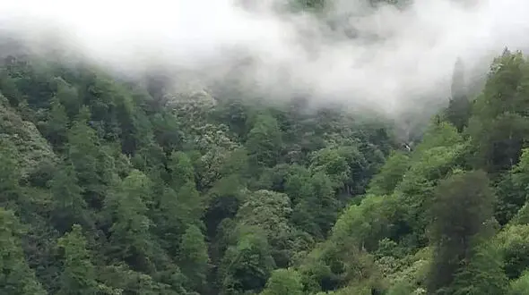 10 خصلت انسان های بزرگ منش