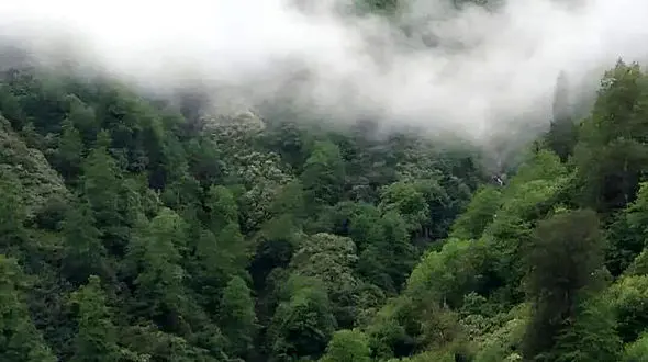 10 خصلت انسان های بزرگ منش