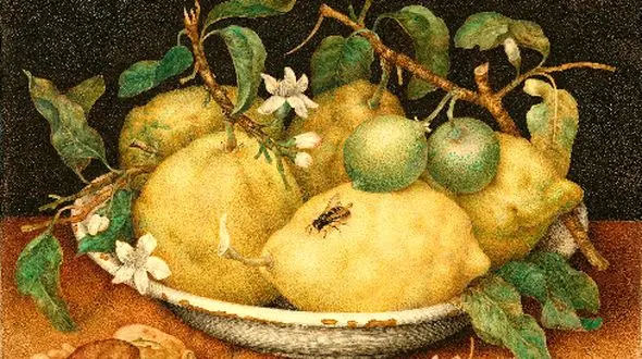 زنانی که هنر را متحول کردند: 12 هنرمند بزرگ تاریخ