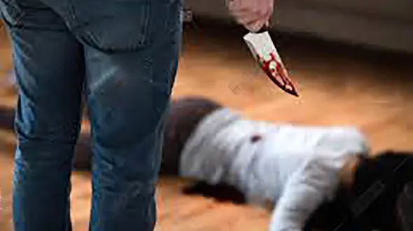 قتل عام هولناک توسط جوان افغان / انگیزه این جانی مشکلات اقتصادی بود