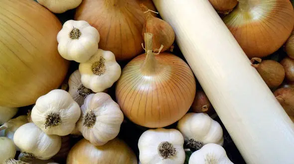 9 راز مریض نشدن