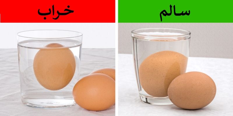 تخم مرغ