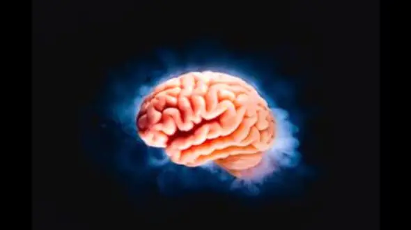 شارژ ذهن با رایحه قهوه: تاثیرات شگفت‌ انگیز بدون نیاز به نوشیدن