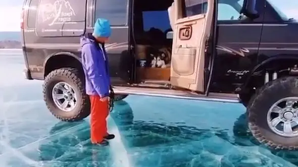 فوبیای سگ از یخ / فیلم