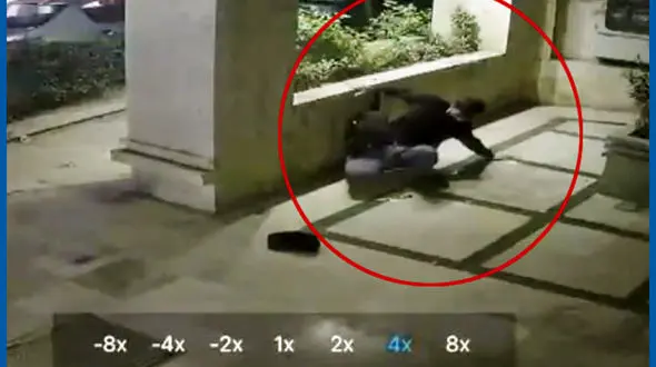 سارق طلا به نام عنکبوت طلایی مصدوم شد