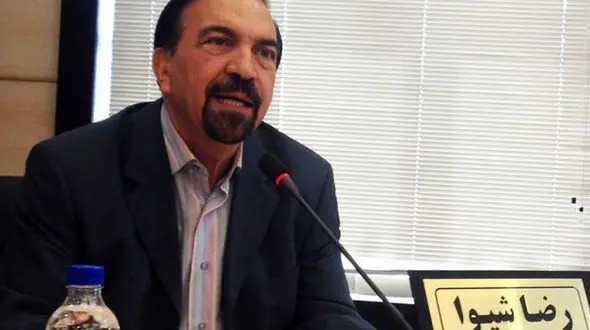 اگر ماشین گران است نخرید ! / توصیه عجیب یک مسئول دولتی