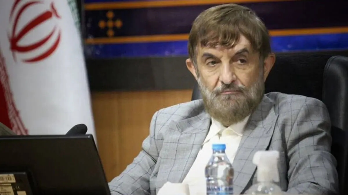عضو مجمع تشخیص مصلحت:‌ گروه‌های مسلح آموزش‌دیده وارد کشور شده‌اند، مردم در محلات مراقب باشند و گزارش دهند