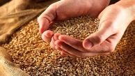 ۷۱ تن گندم احتکار شده در کهگیلویه و بویراحمد کشف شد