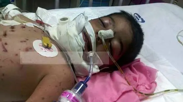 جدال متین کوچولو با مرگ پایان یافت / گرگ او را کشت + عکس 