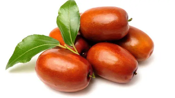 پایان سرطان های رایج کشور با مصرف این میوه مقوی/ تاثیر فوق العاده برای لاغری و خواص ضد افسردگی