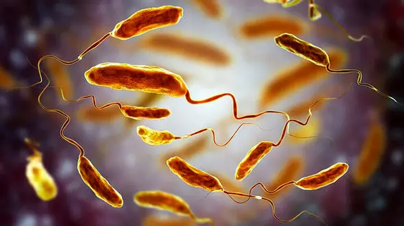 ابتلای 14 نفر به وبا در سال 1403 / وبا درمان می شود؟