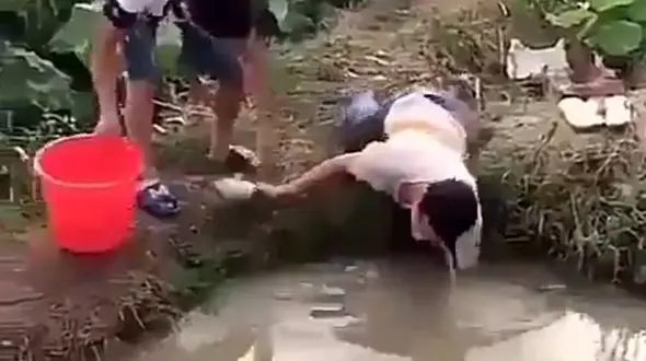 ماهی گیری که شکار یک مار شد + فیلم و عکس