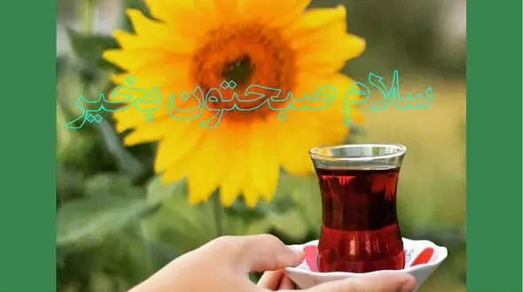 فال روزانه شخصی / 11خرداد ماه + فیلم
