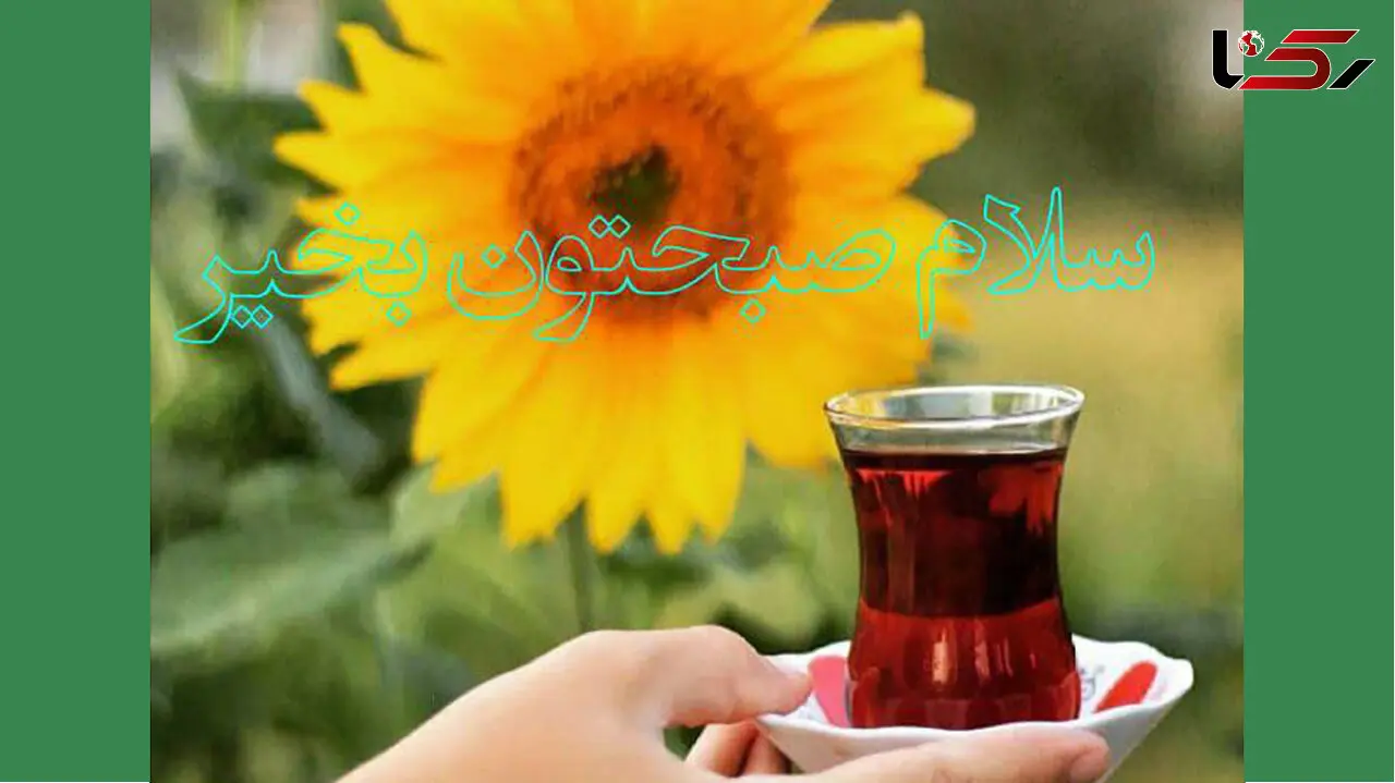 فال روزانه شخصی / 11خرداد ماه + فیلم