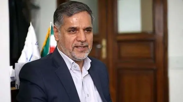 نقوی حسینی : سقوط هواپیمای اوکراینی پشت پرده دارد / بعید می دانم یک خطا انسانی ساده باشد+ فیلم