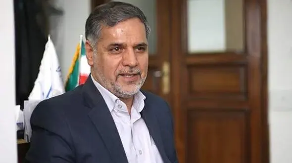 نقوی حسینی : سقوط هواپیمای اوکراینی پشت پرده دارد / بعید می دانم یک خطا انسانی ساده باشد+ فیلم