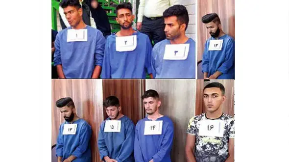 «گربه های وحشی» را شناسایی کنید + عکس چهره باز