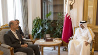 دیدار وزیر نیرو با نخست وزیر قطر/ دستور ویژه امیر قطر برای پیگیری توافقات کمیسیون اقتصادی ایران قطر