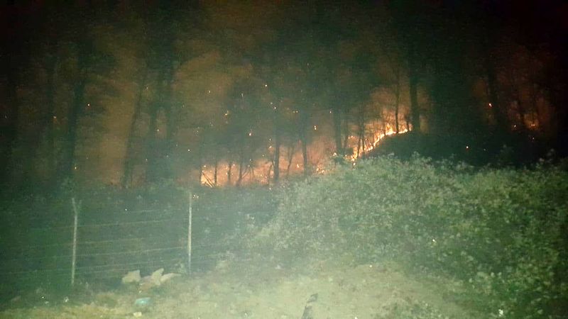 آتش سوزی جنگل های گردنه حیران در استان اردبیل