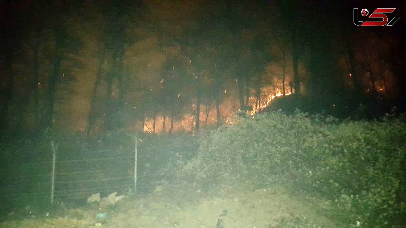 
 آتش سوزی در جنگل نوکنده