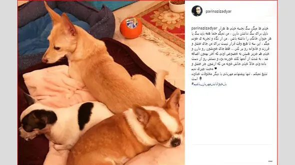 شیرین شهرزاد: باحیوانات مهربان باشیم