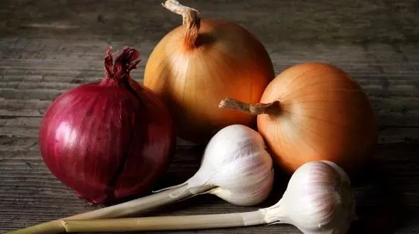 سیر و پیاز تصفیه کننده های طبیعی هوا