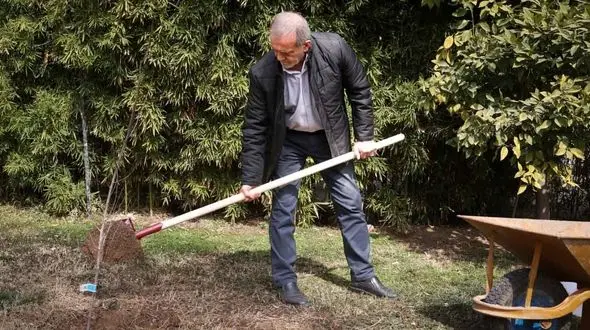 پزشکیان: مردم با مشارکت در کاشت درخت به محیط زیست کشور کمک کنند