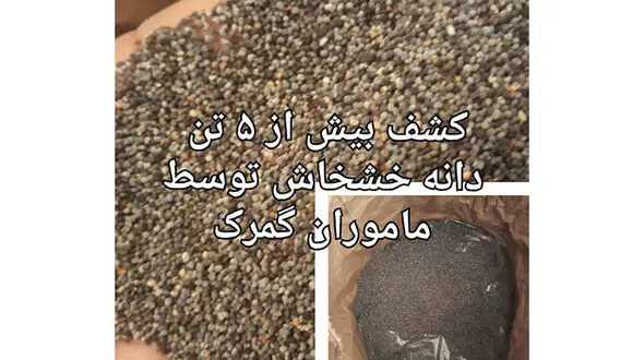  کشف بیش از 5 تن دانه خشخاش در کامیون +عکس 