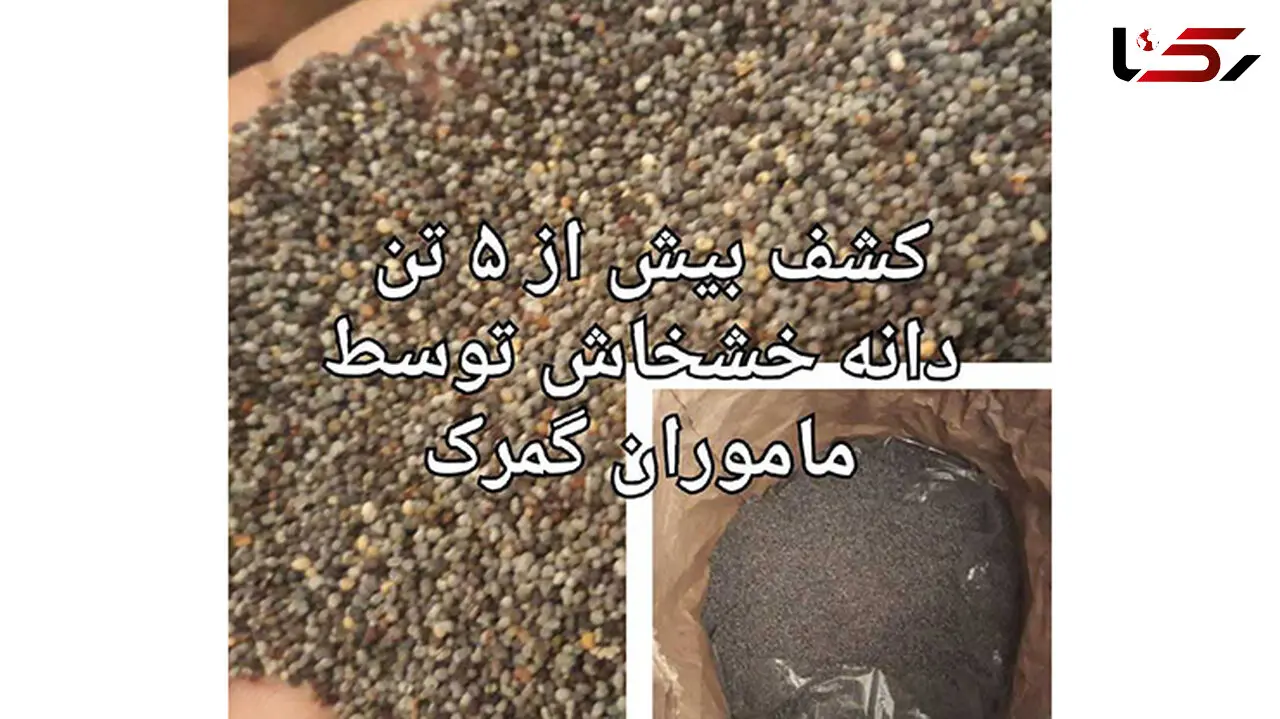 کشف بیش از 5 تن دانه خشخاش در کامیون +عکس 