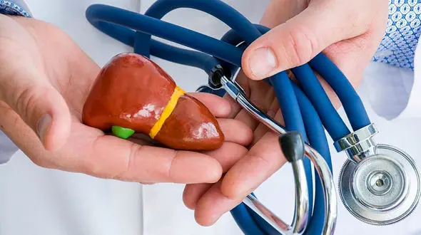 کبد چرب را با این رژیم غذایی شکست دهید / توصیه‌های کاربردی برای بهبود سلامت