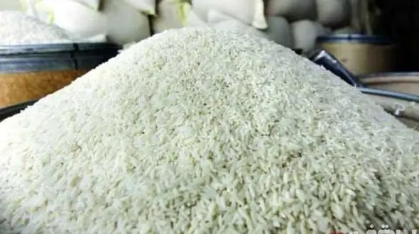 مردم برنج خارجی نمی‌خرند، قیمت برنج ایرانی افزایش یافته است