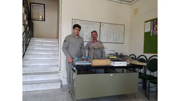 کشف  10 قطعه سهره طلایی در سرپل ذهاب