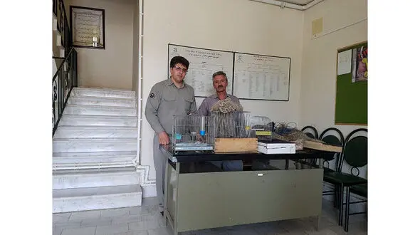 کشف  10 قطعه سهره طلایی در سرپل ذهاب