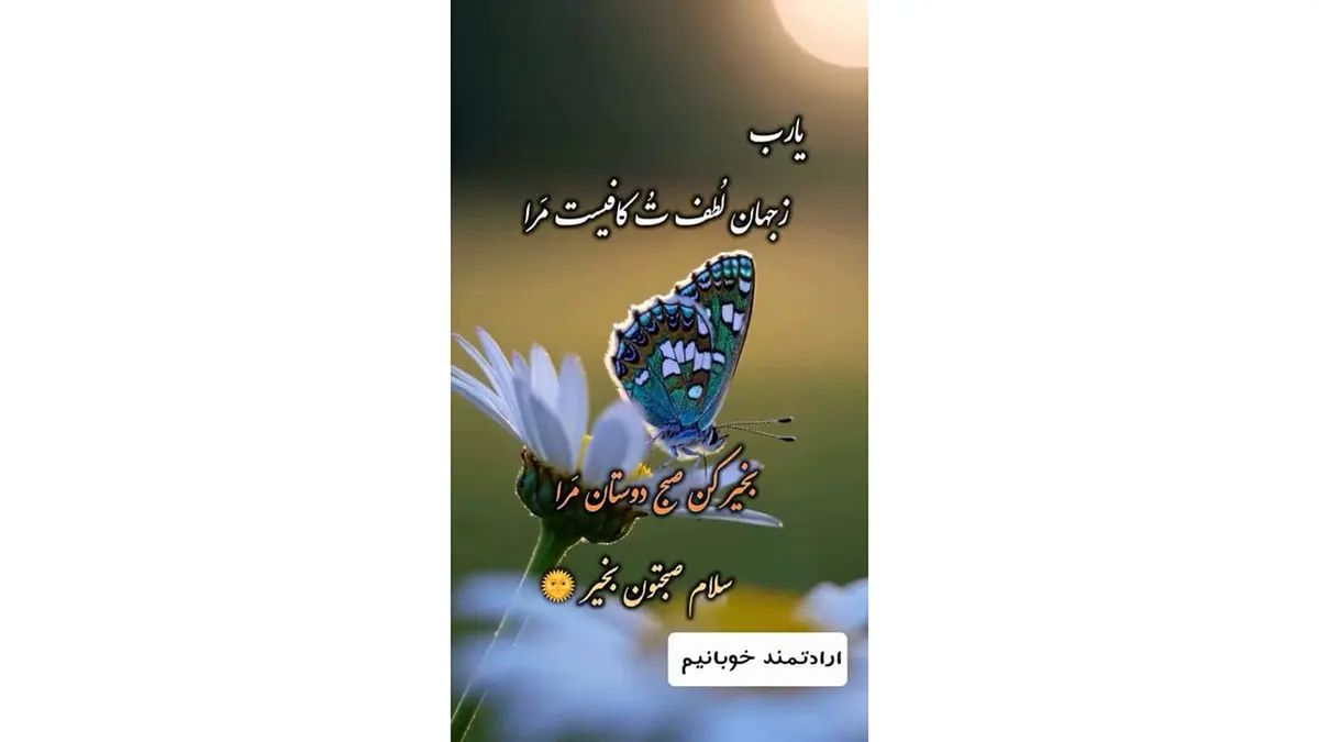 فال حافظ 8 دی