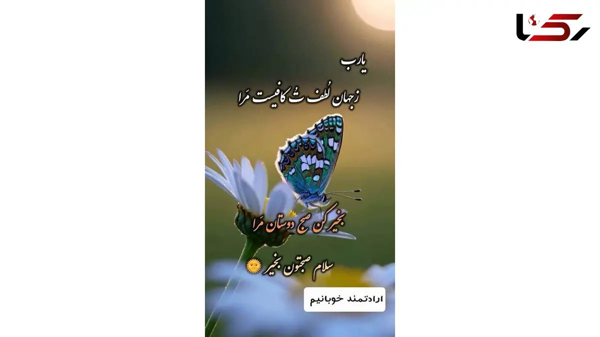 فال حافظ 8 دی 