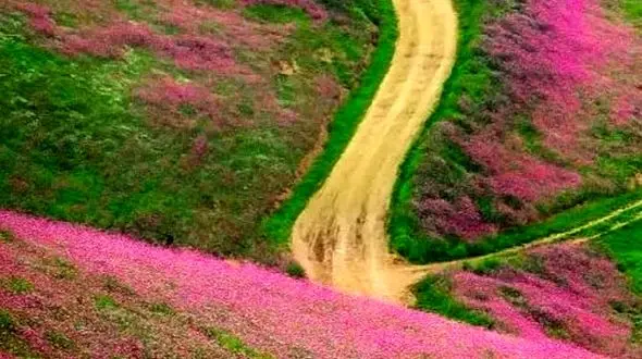 فیلم از سلانسر چشم نواز رودبار