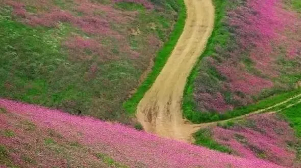 فیلم از سلانسر چشم نواز رودبار