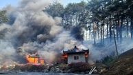 مرگ هولناک 3 نفر در آتش سوزی جنگل گانگنونگ