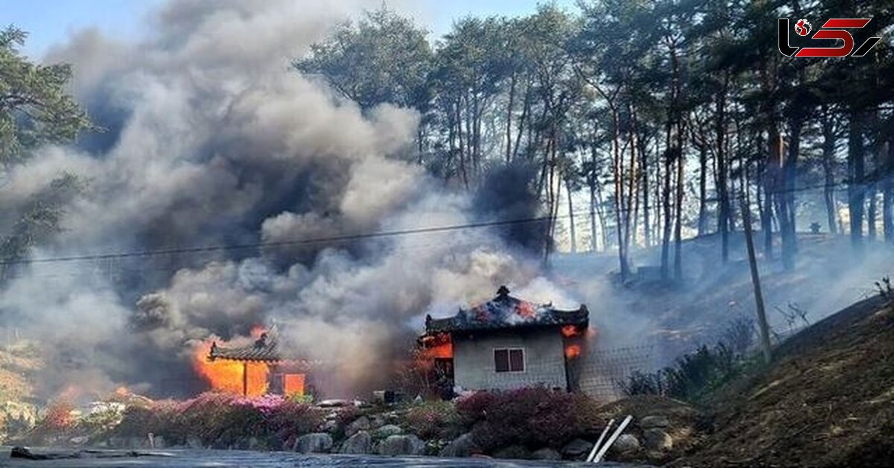 مرگ هولناک 3 نفر در آتش سوزی جنگل گانگنونگ