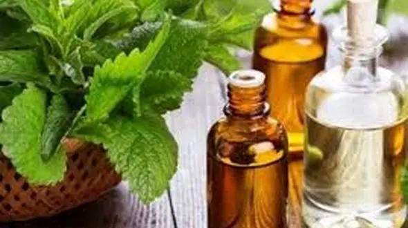 روغن گیاهی برای جوانی پیرزن ها