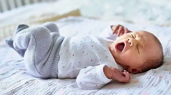 بچه عروس و داماد کوتاه قامت قدبلند است + عکس های جذابتریم زوج جهان