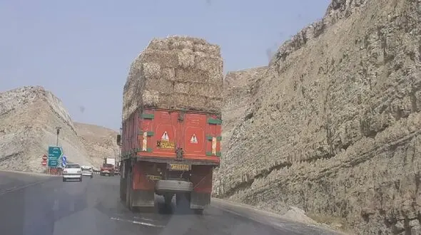 علوفه و کاه خوزستان را به کجا می برند؟ / جهاد کشاورزی و شورای تامین استان مانع تاراج ذخایر علوفه شوند+ فیلم 