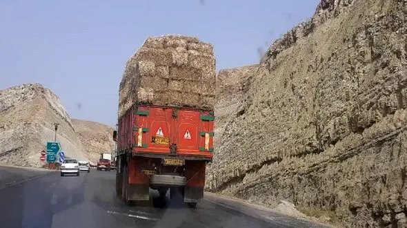علوفه و کاه خوزستان را به کجا می برند؟ / جهاد کشاورزی و شورای تامین استان مانع تاراج ذخایر علوفه شوند+ فیلم 