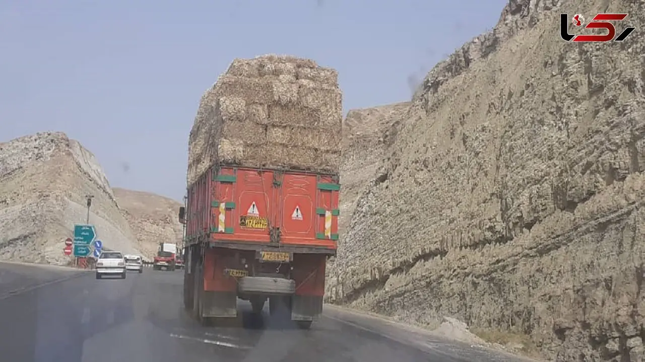 علوفه و کاه خوزستان را به کجا می برند؟ / جهاد کشاورزی و شورای تامین استان مانع تاراج ذخایر علوفه شوند+ فیلم 