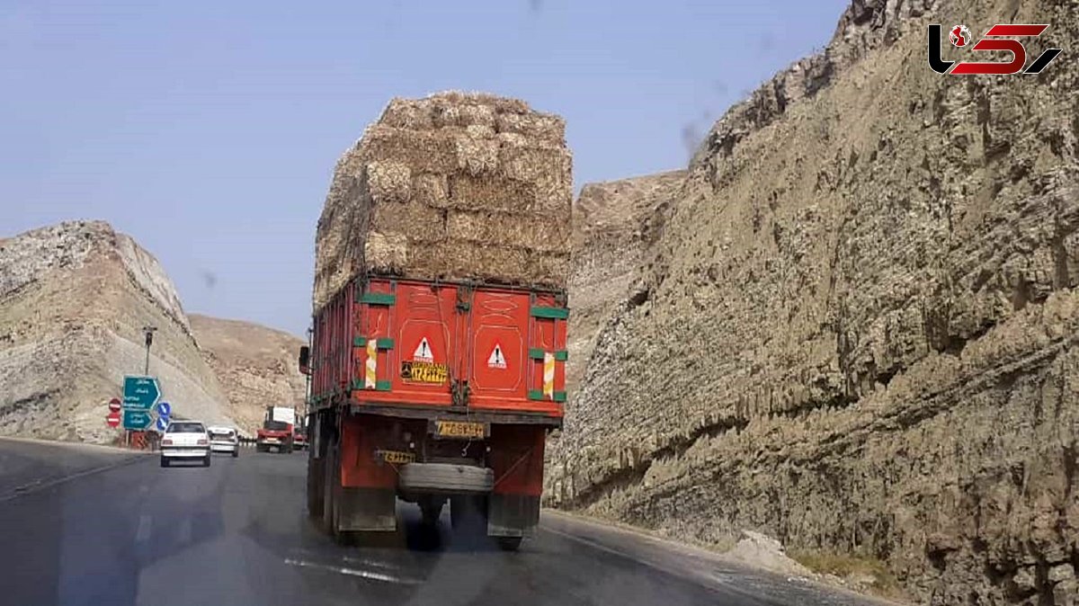 علوفه و کاه خوزستان را به کجا می برند؟ / جهاد کشاورزی و شورای تامین استان مانع تاراج ذخایر علوفه شوند+ فیلم 