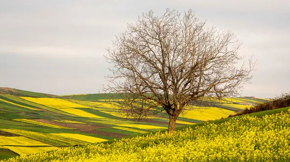 کاهش دما در سواحل خزر تا دوشنبه ادامه دارد